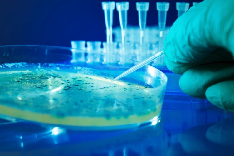 New £24m food research facility opens doors