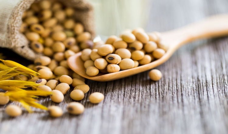 AAK agrees deal to purchase BIC Ingredients