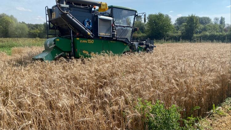 Gene-edited crops a ‘step closer’ in the UK