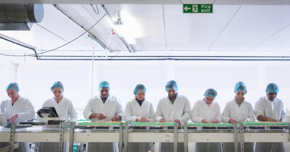 Understanding the food and drink NPD process