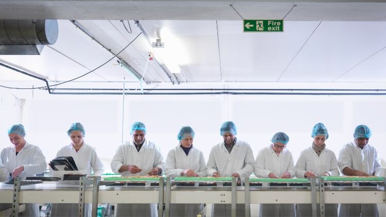 Understanding the food and drink NPD process