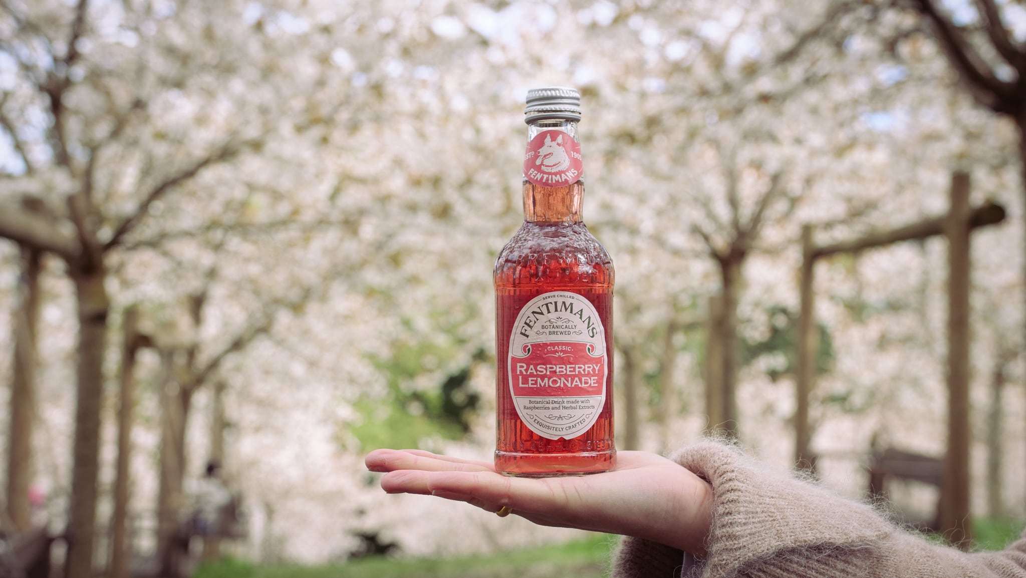 APPROVED_PRESS_Raspberry-Lemonade_1.jpg