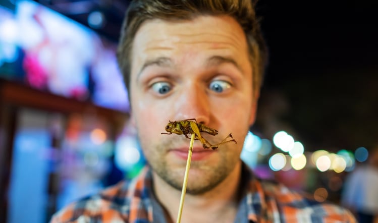 Insect-based food labelling guide launched   