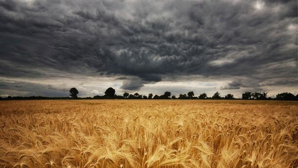 Food firms urged to ‘step up’ to climate change