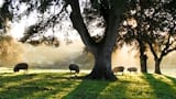 How the EU provides the assurance to satisfy consumer demands for sustainable products