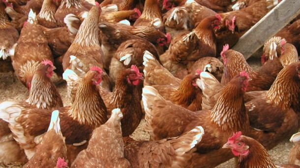 Global antimicrobial use continues to rise