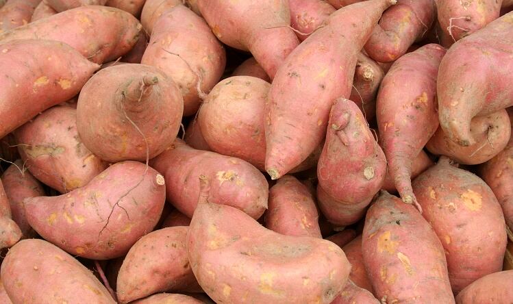 Scientists develop new method for gluten-free flour from sweet potatoes