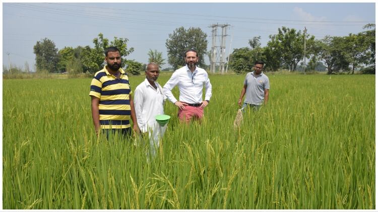 Tilda’s climb to the top