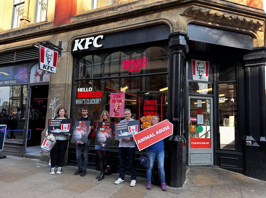 KFC facing ‘summer of direct action’ over ‘Frankenchickens’ timeline