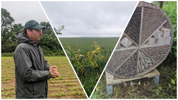 How Mondelēz is defining regenerative agriculture