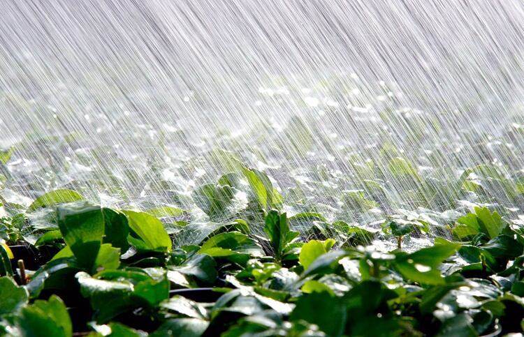 Extreme-weather-could-cut-UK-food-self-sufficiency-by-10.jpg