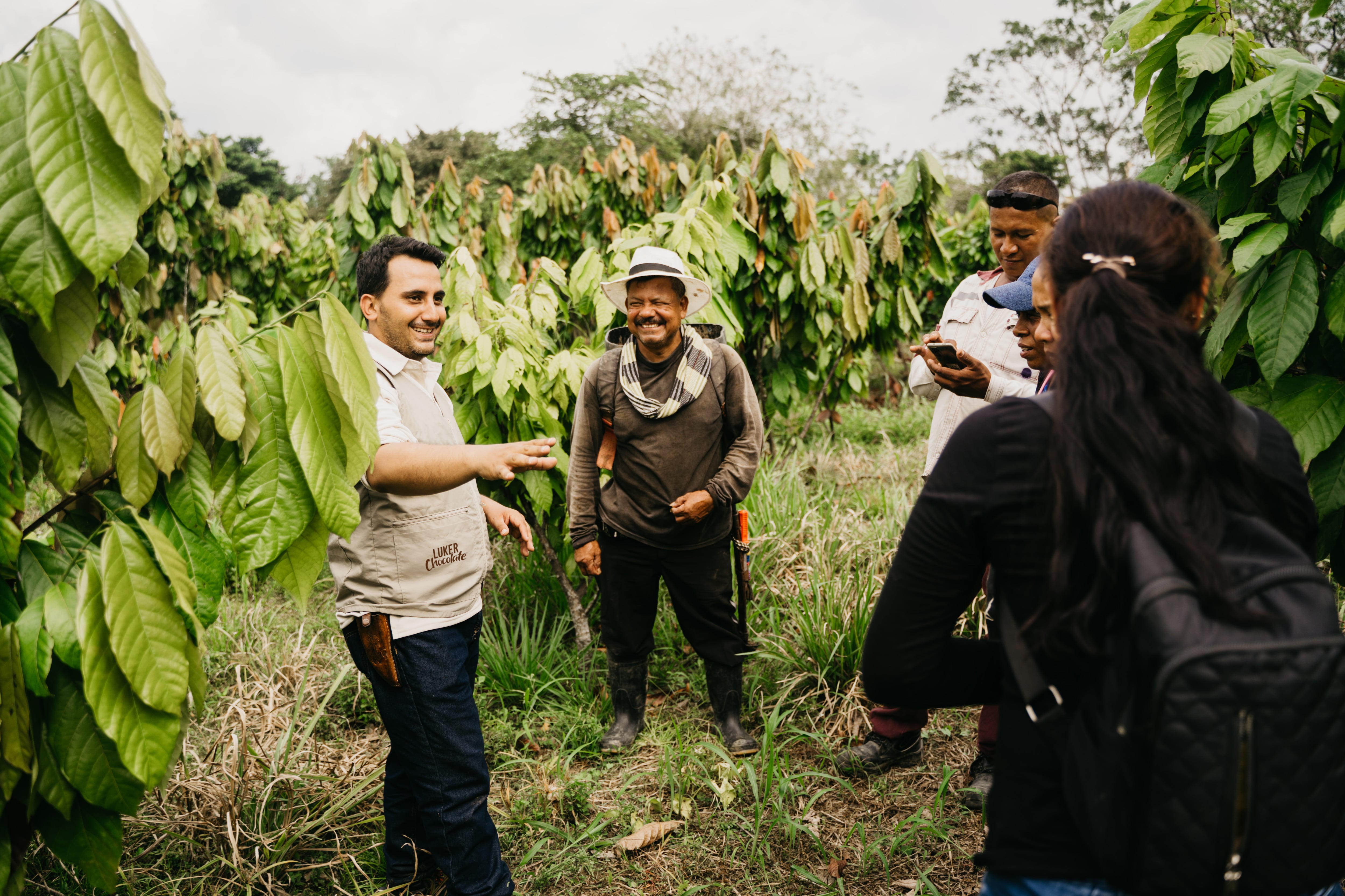 Supporting farmers, not delaying progress: A supplier’s view on EUDR readiness