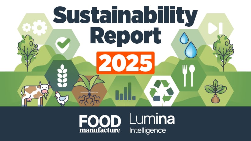 Sustainability Report 2025