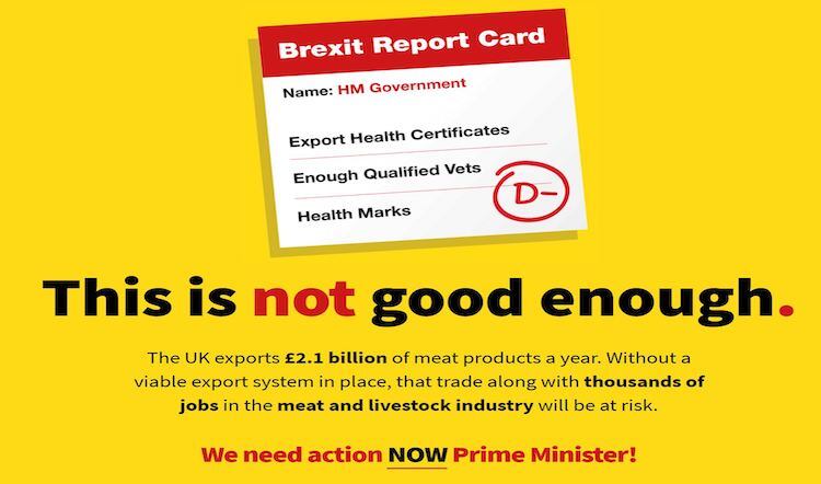 Brexit: meat exports and thousands of jobs threatened