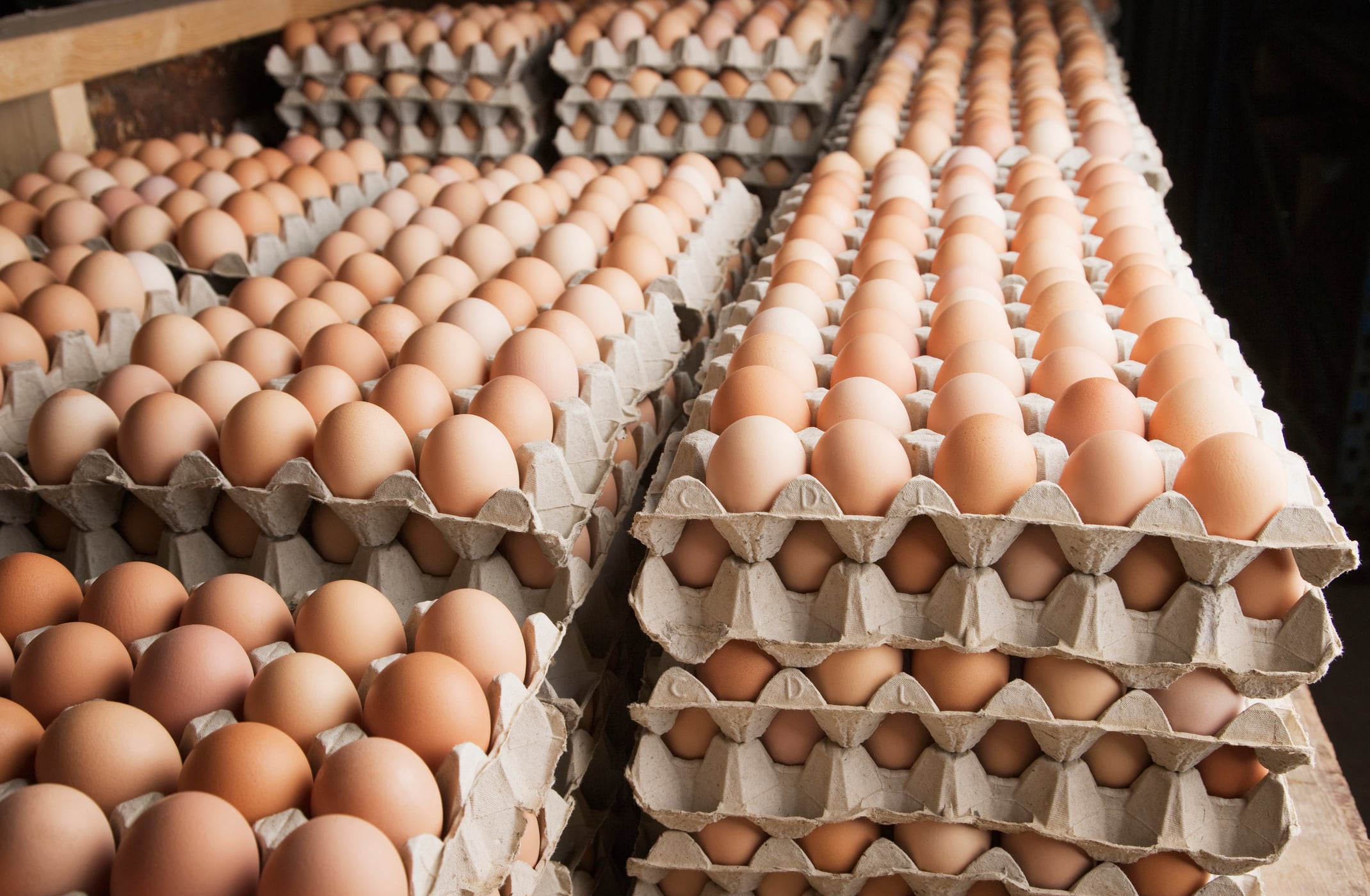 Eggs
