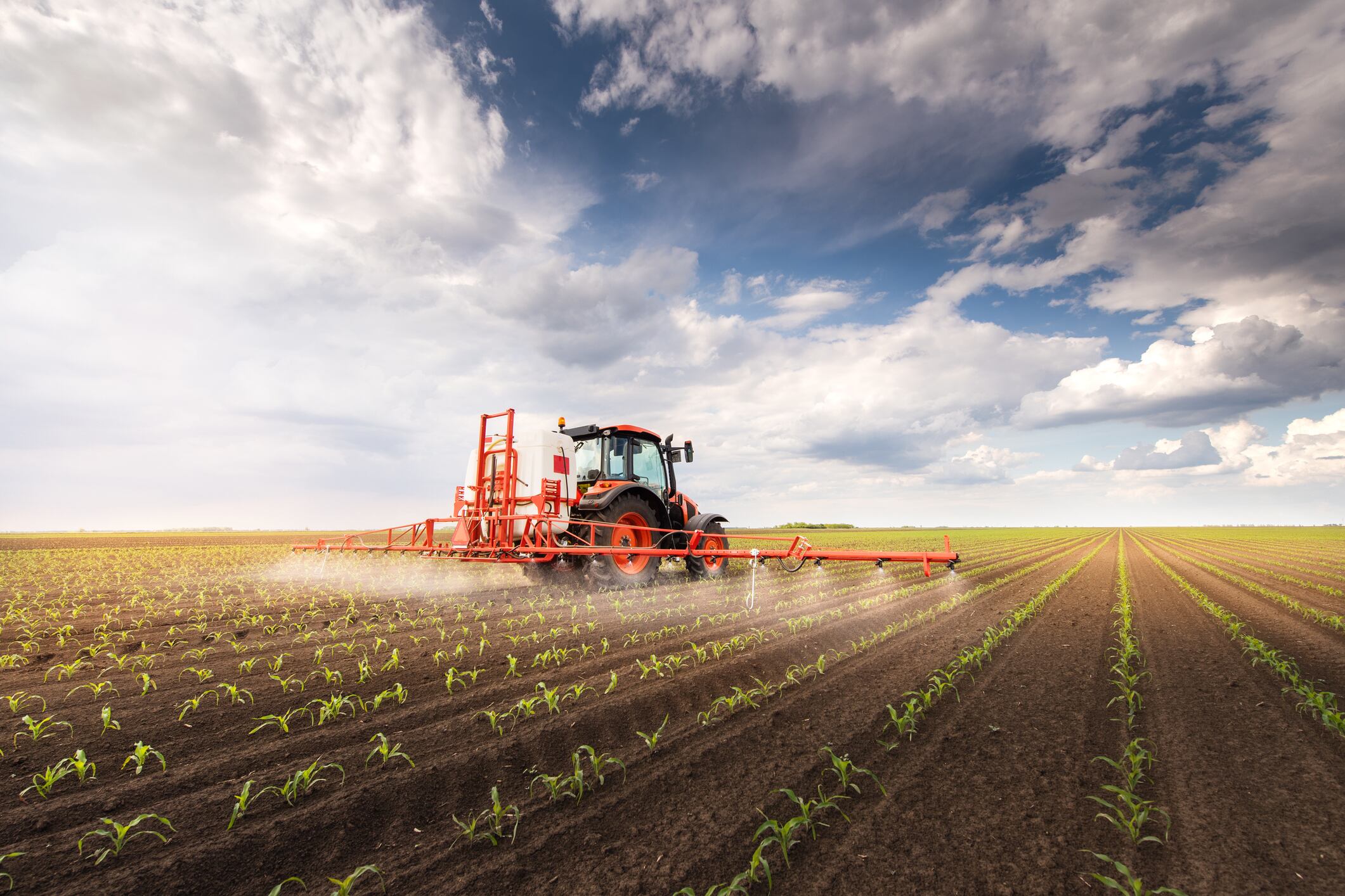 Government must appreciate importance of fertiliser in food security
