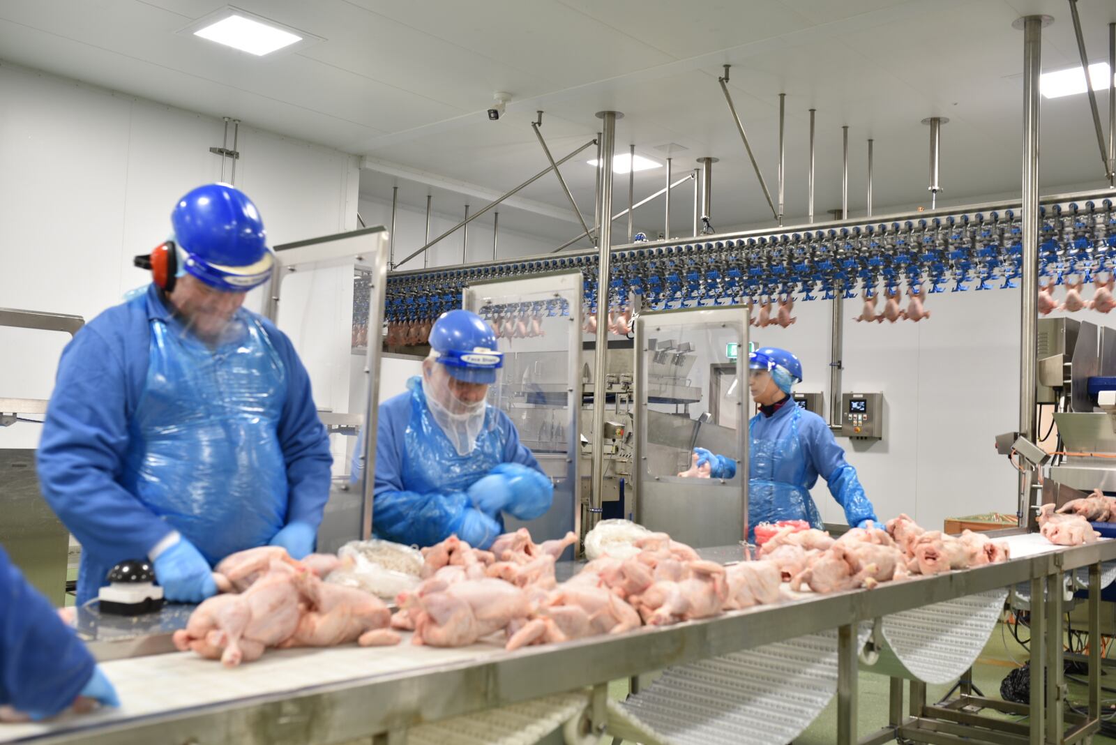 Avara Foods £11m investment to create jobs