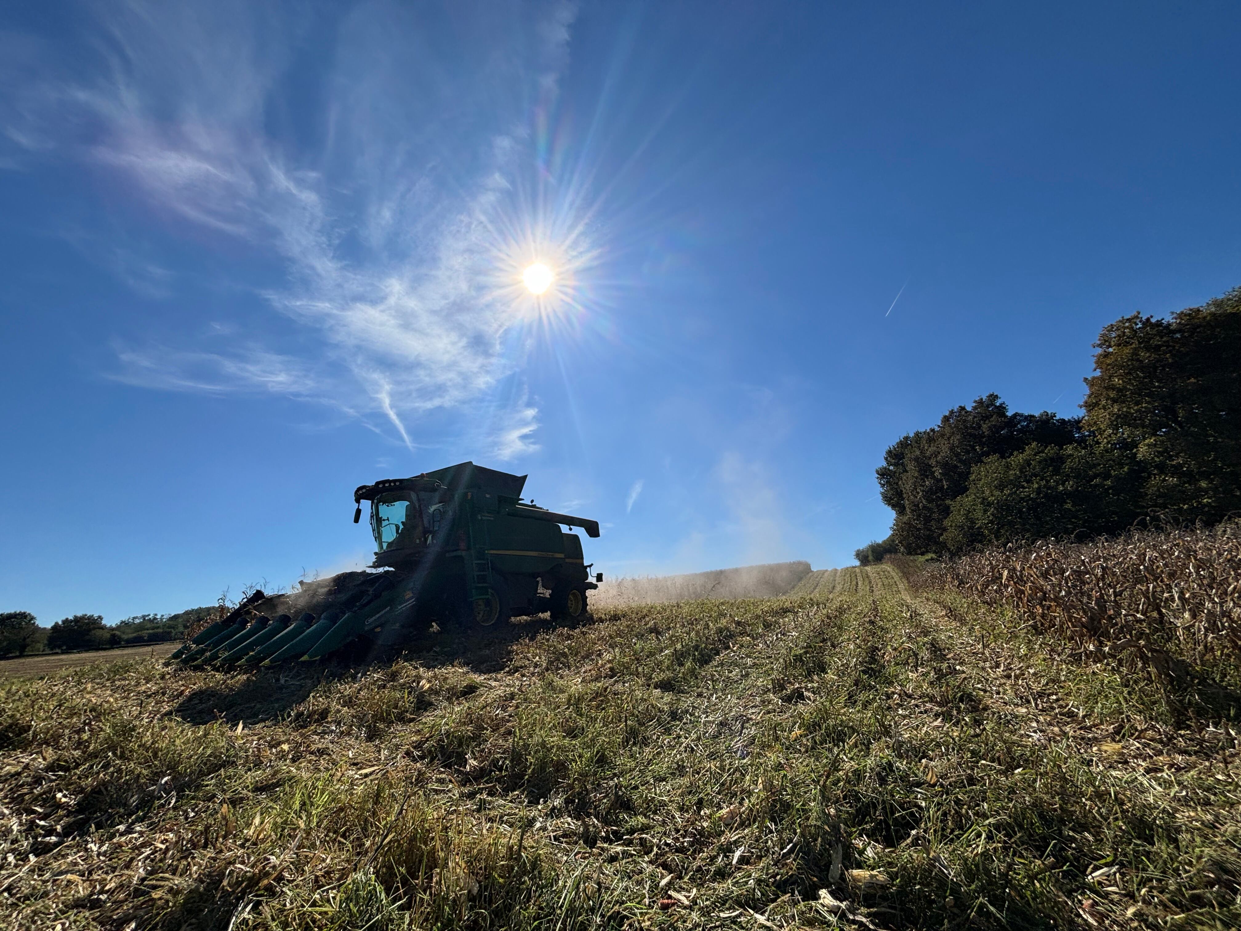 Tate & Lyle launches a regenerative agriculture programme to support corn suppliers in France.