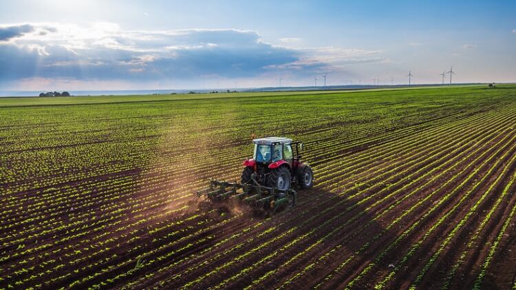 NFU highlights UK self-sufficiency issue