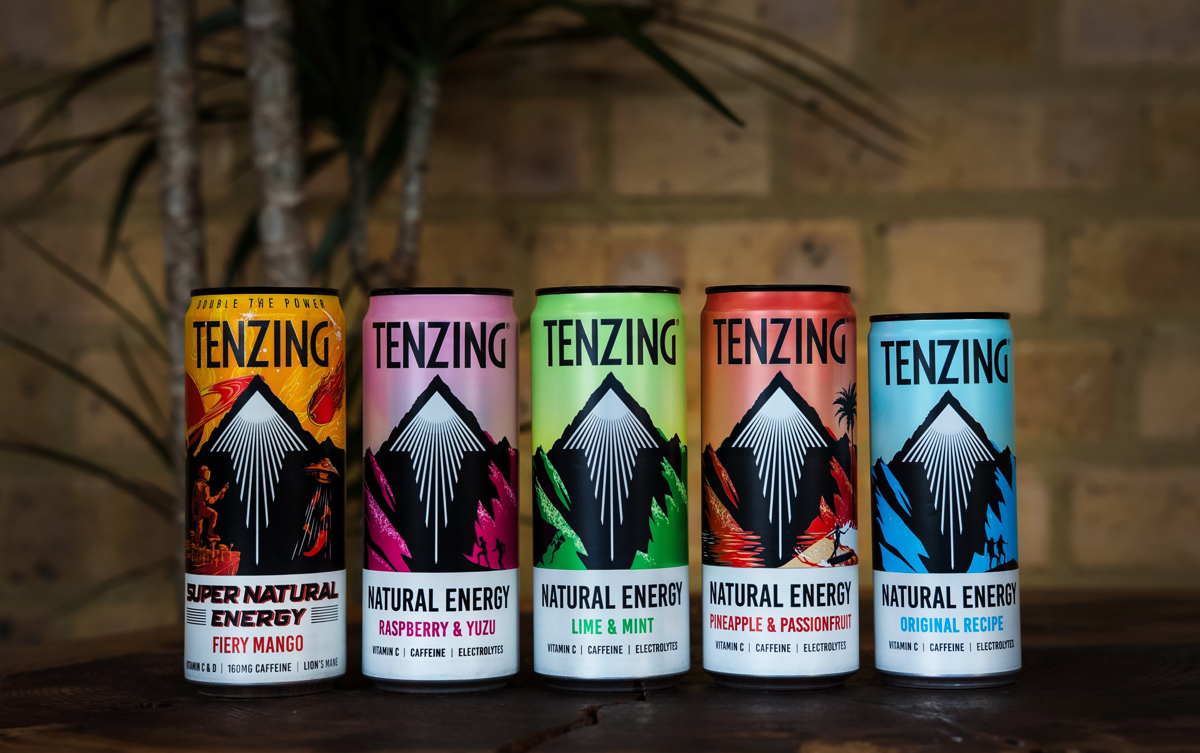 Tenzing founder: ‘We’re fighting pure habit and availability’