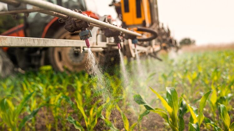 ‘Forever chemicals’ found in popular UK fresh produce