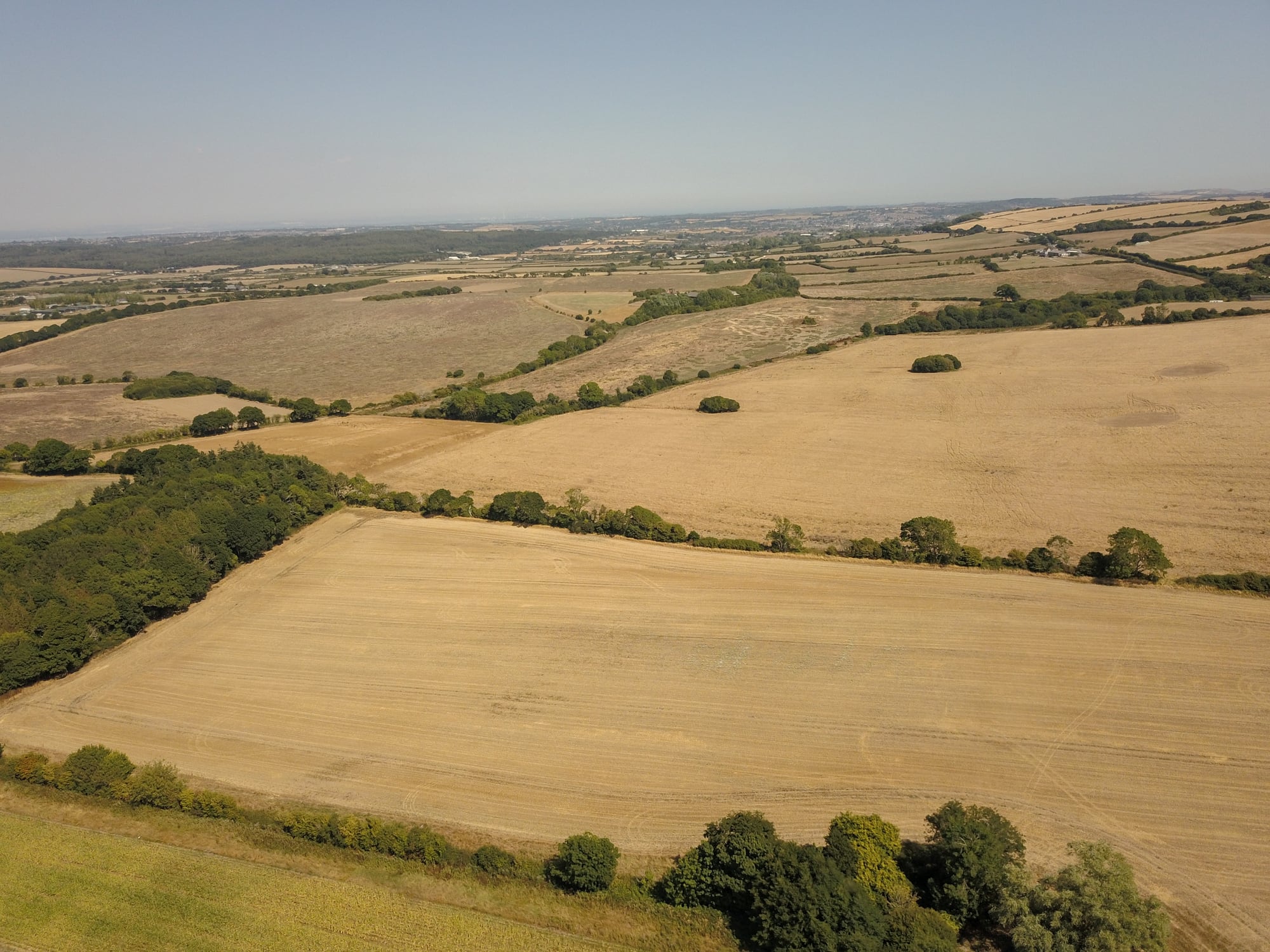 Drought fields