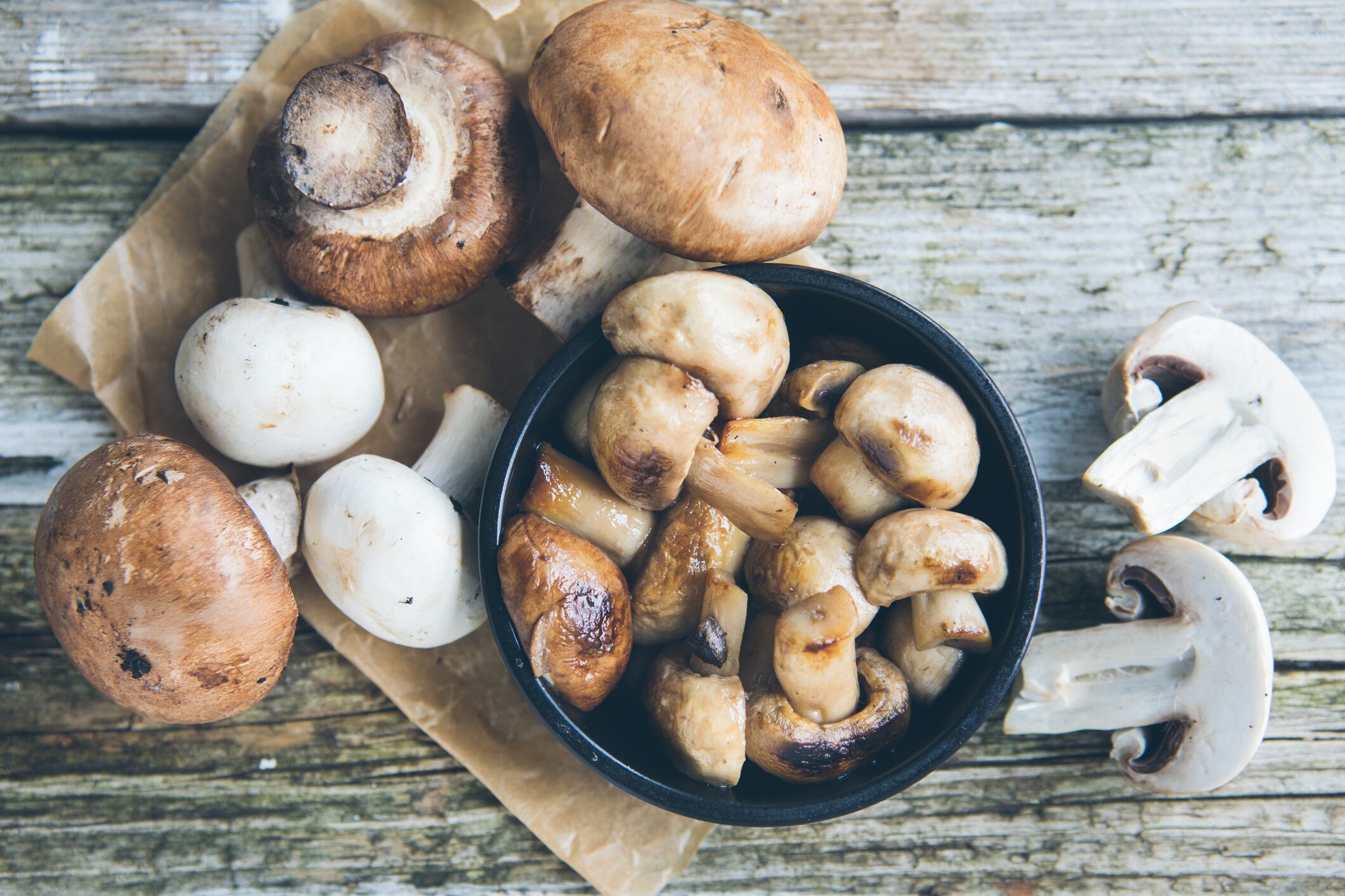Plans for £10m UK mushroom growing facility announced