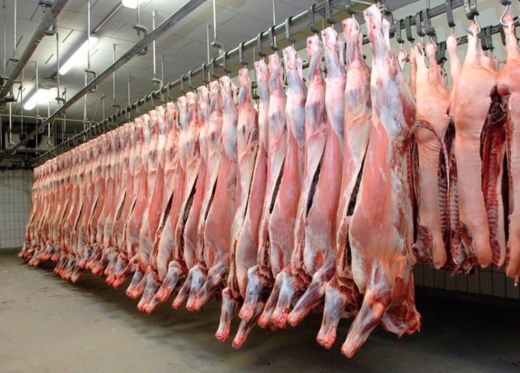 Abattoir fined for carcase bunching