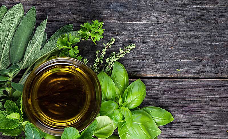 oils-banner.jpg