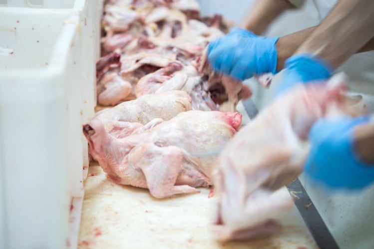 Academics raise post-Brexit chlorinated chicken fears
