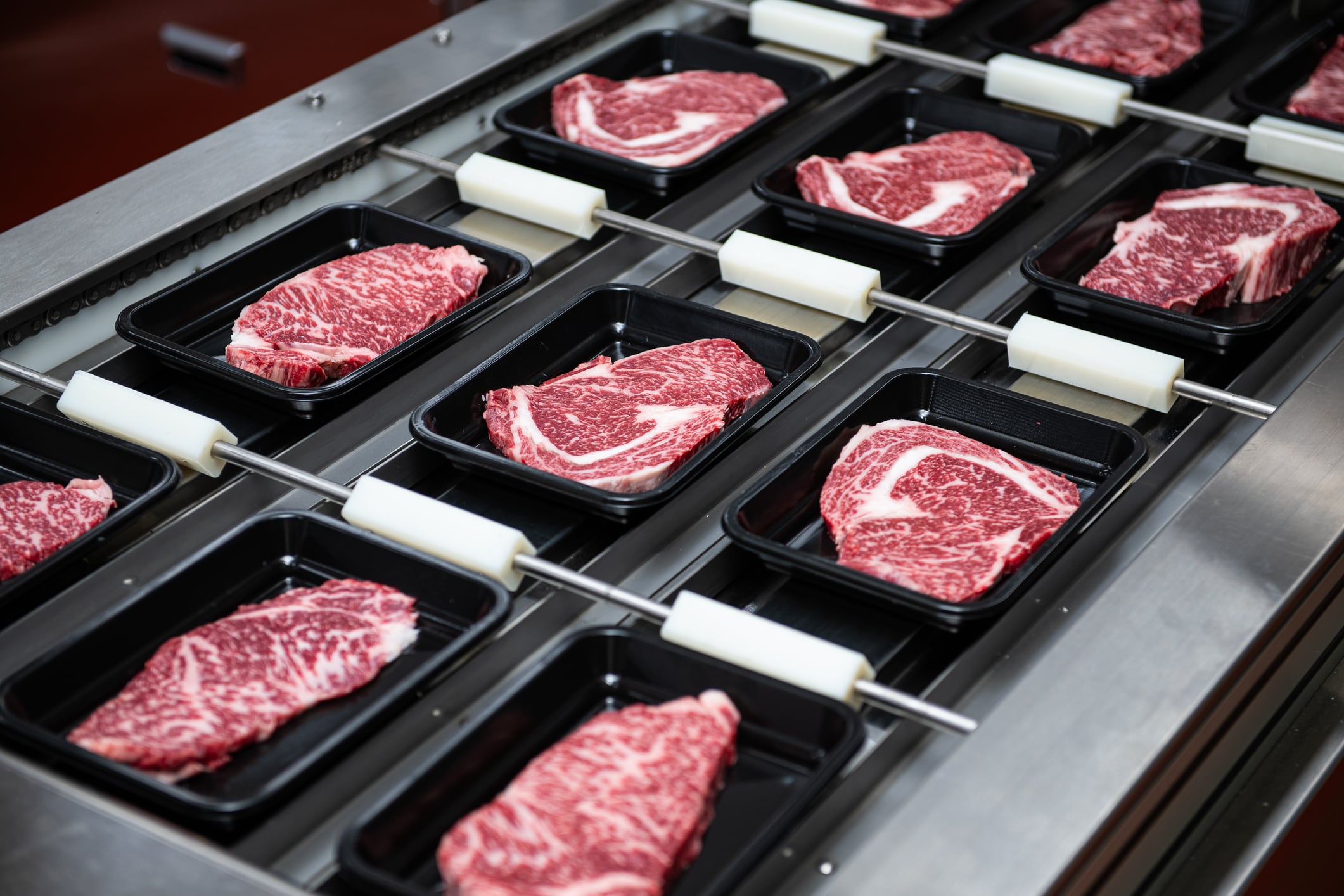 A conveyor belt of steak in a factory