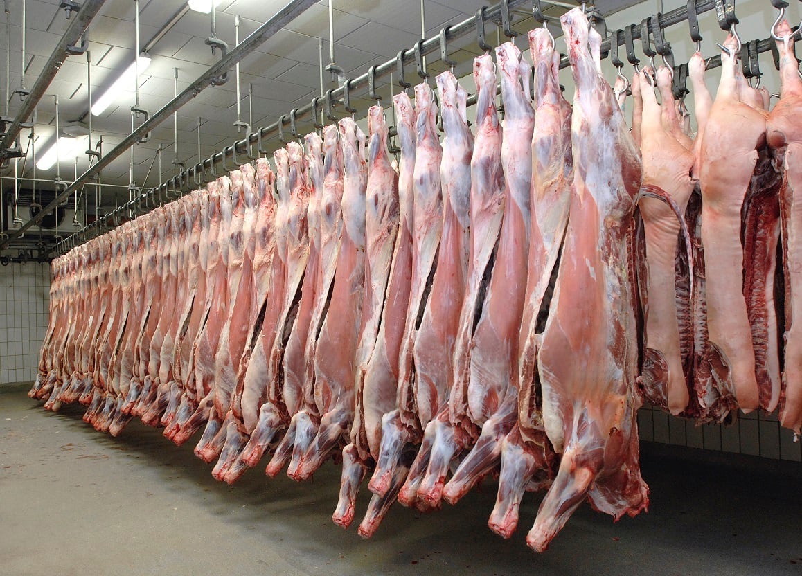 Six in ten small abattoirs face closure within five years
