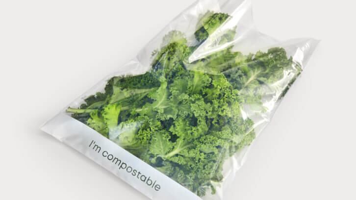 Tipa_Lettuce_4064_gray_final-optimized.jpg