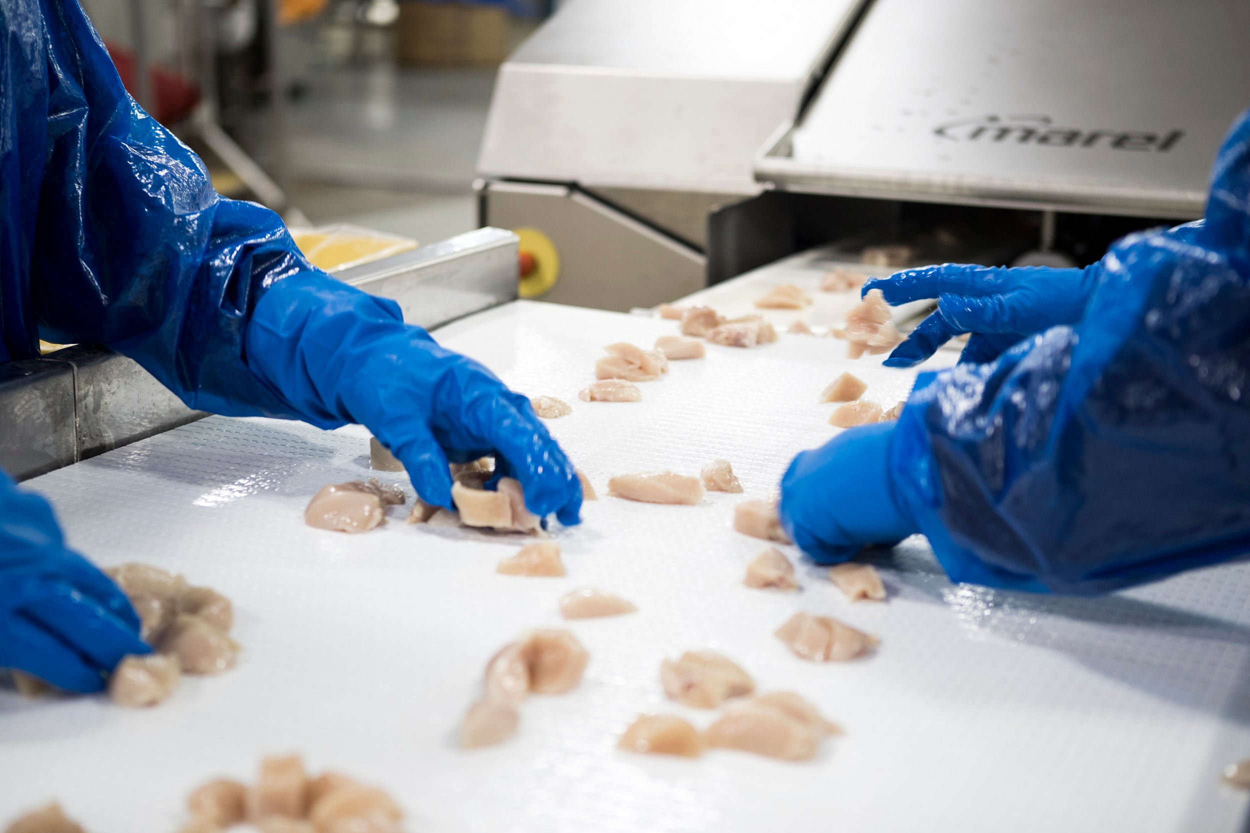 PAGE-2-Marel-Poultry-Nugget-Line.jpg