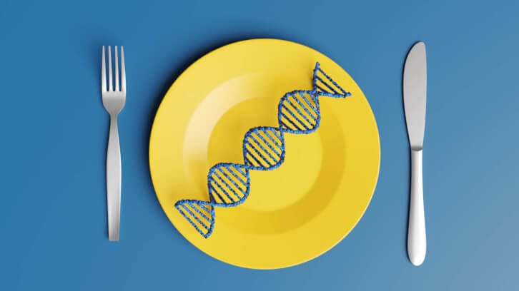 Cellular agriculture: opportunities, regulations and how to get ahead