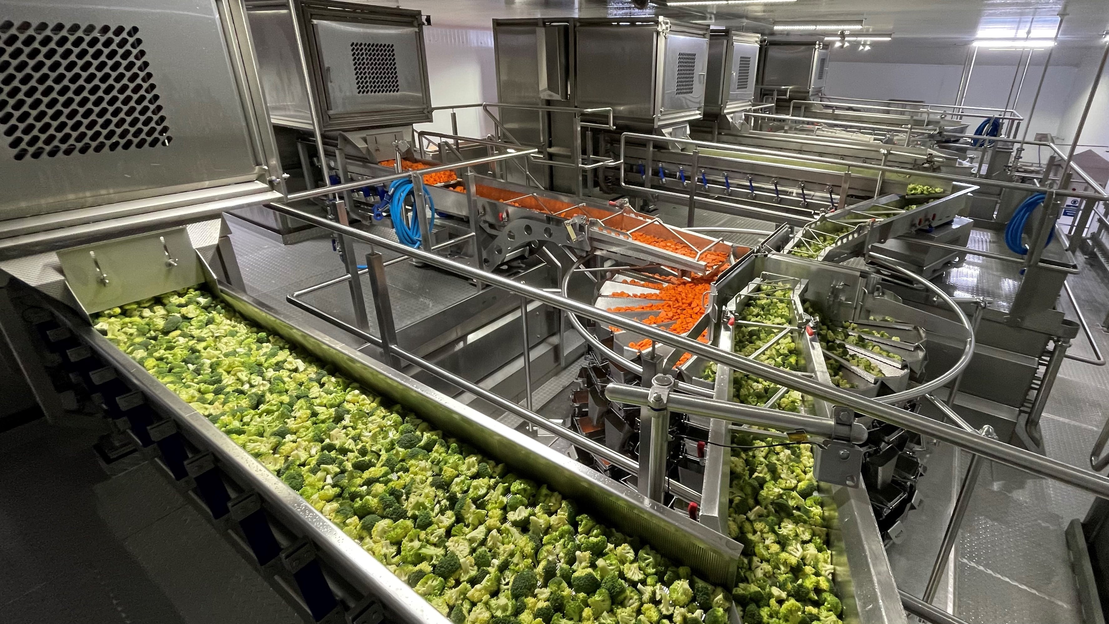 Fenmarc Produce secures £1.9m factory investment 