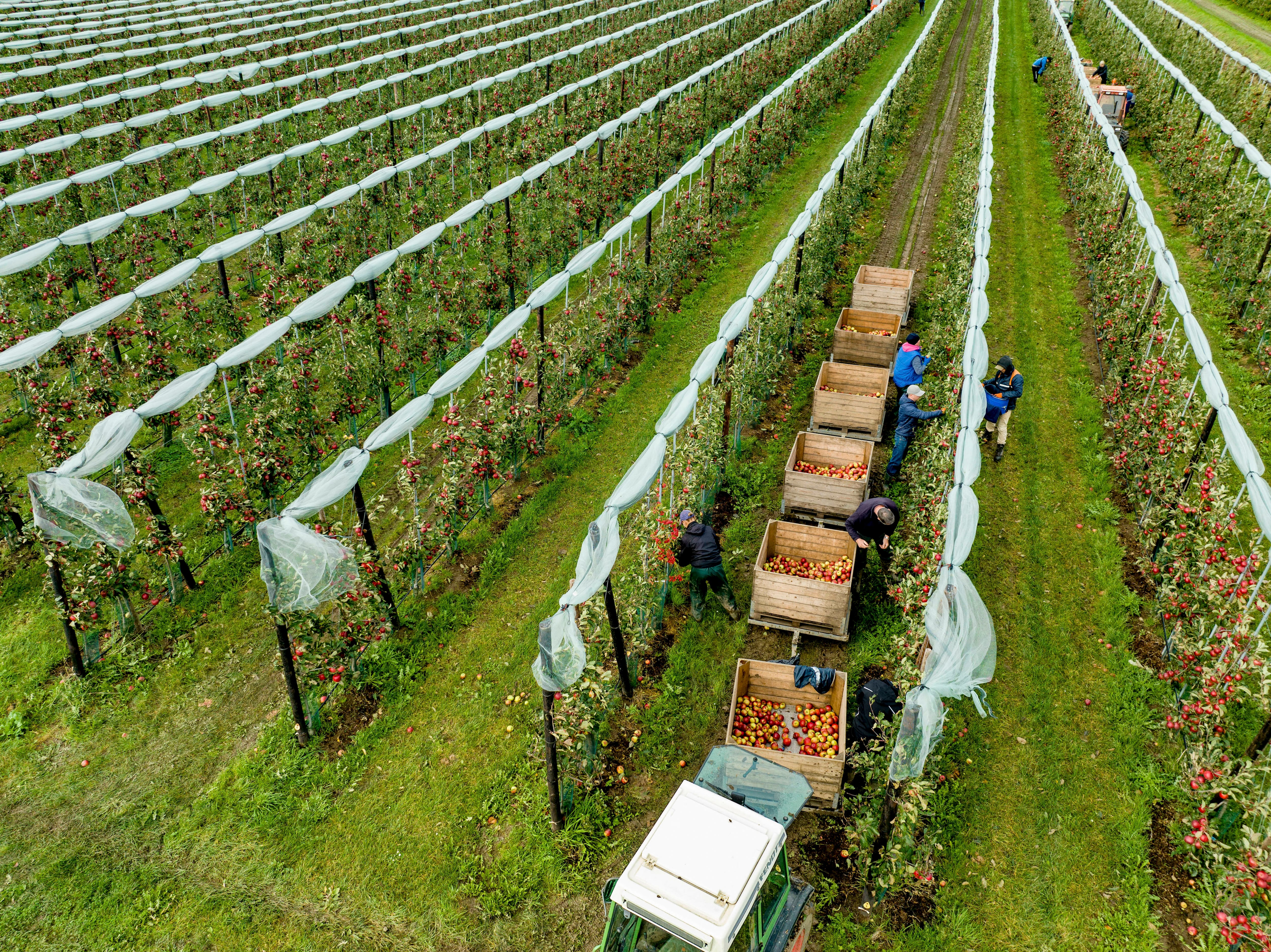 Migrant farmworkers to protest outside Home Office