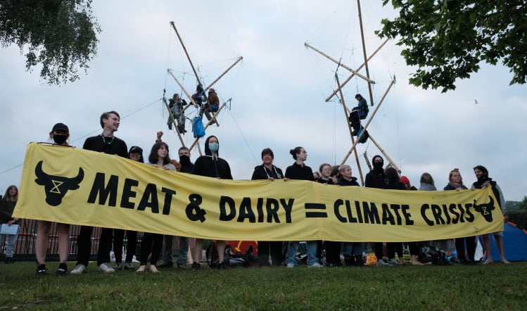 Animal rights group blockades McDonald’s burger producer