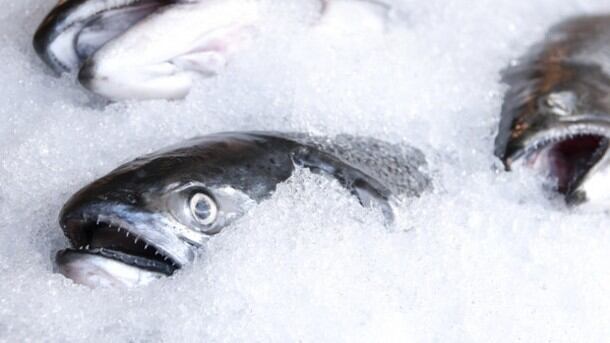 Denholm Seafoods secures eight figure funding package 