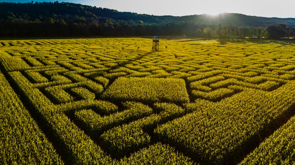 Manual-maze-of-disconnect-resized.jpg