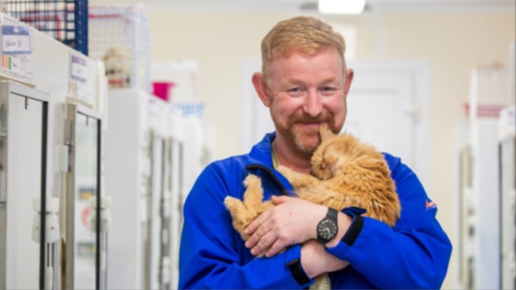 RSPCA chief executive steps down