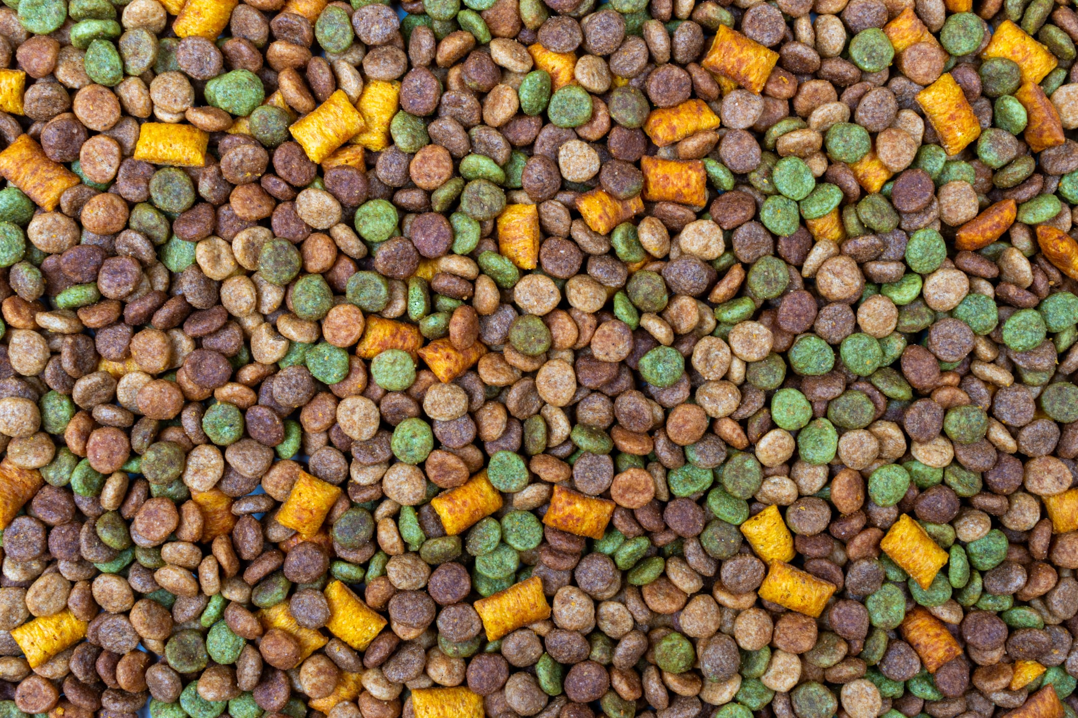 At this stage, the range revolves around kibble and dry treats.