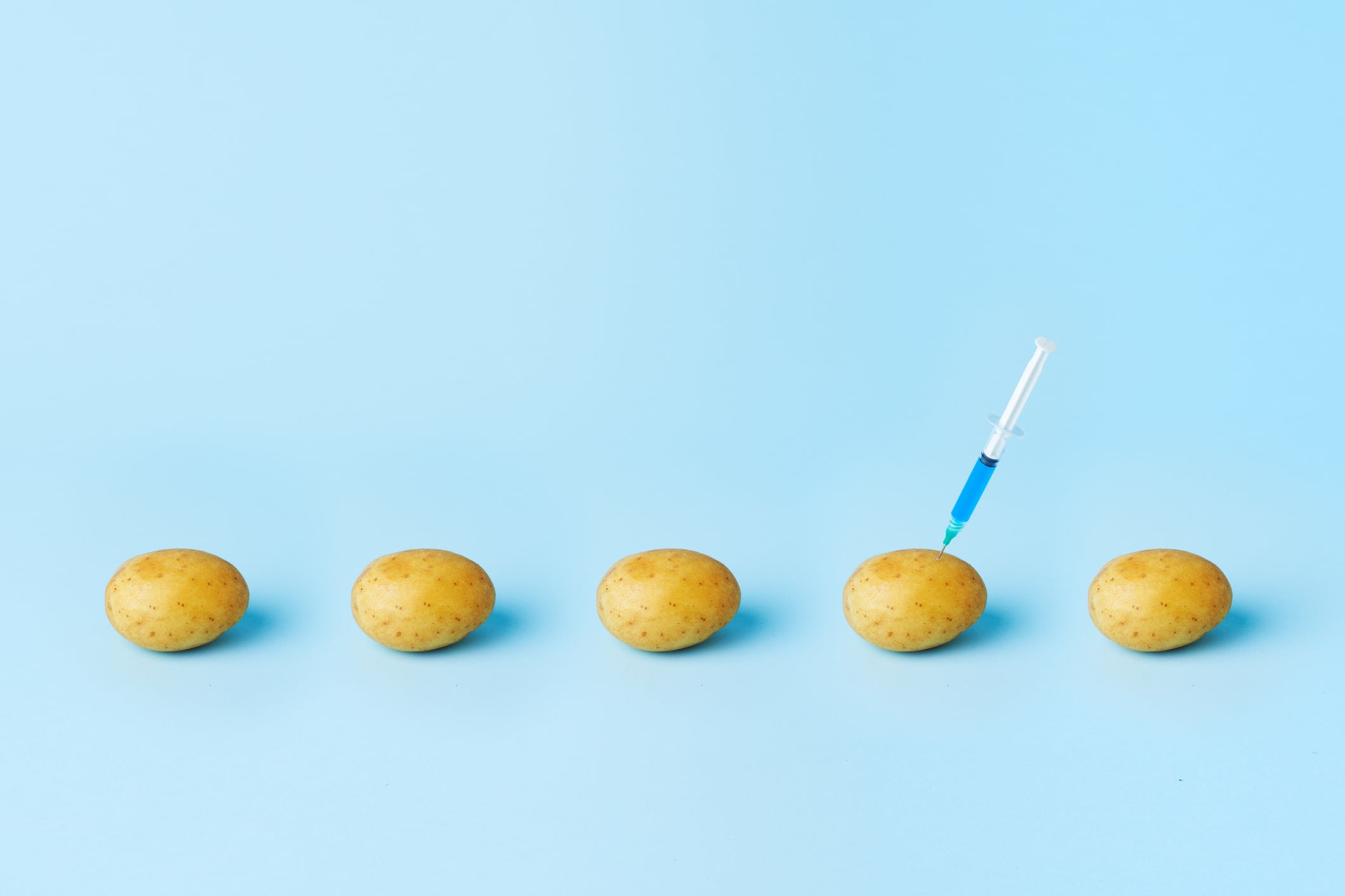 Researchers turn to gene editing to make potatoes commercially viable