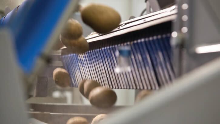 Potatoes-fps-2-optimized.jpg