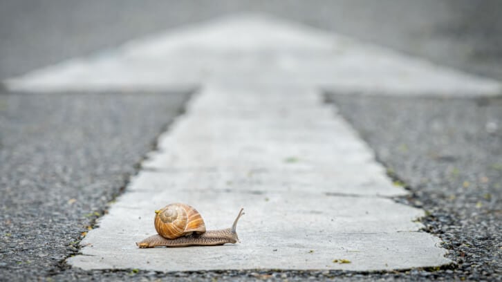 UK small business growth slows by 40%