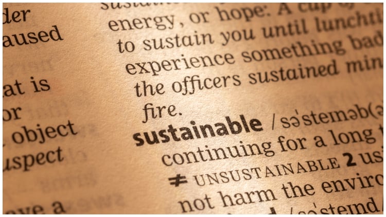 Does anyone know what sustainability means anymore?