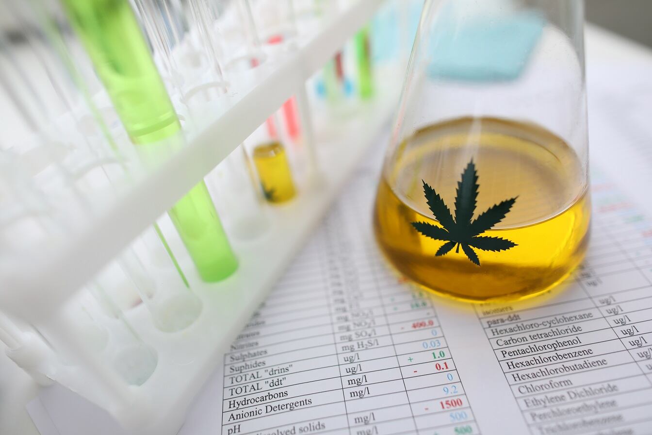 Deadline approaches for CBD Novel Foods applications