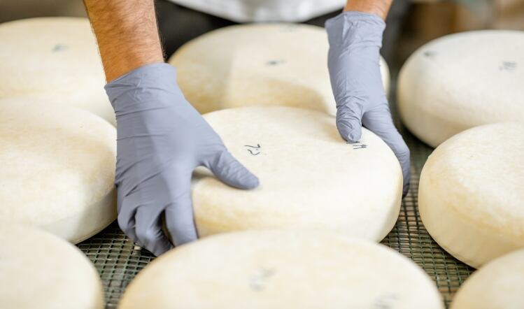 Dairy deals with the challenges – and looks to the future