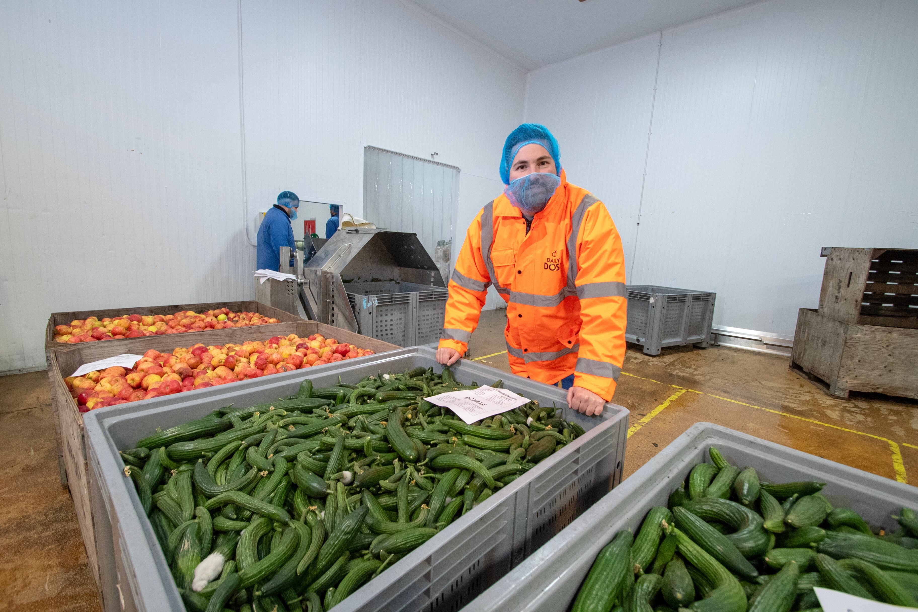 George Hughes-Davies inside the Daily Dose factory, standing with whole vegetables.