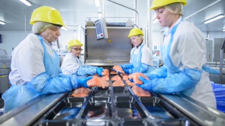 ONS-releases-food-manufacturing-employment-data.jpg
